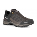 Salewa Hiking Shoes Mtn Trainer Lite GTX (Approach, Waterproof) Brown Men